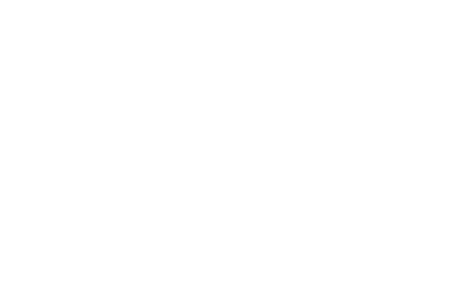 2020 mi año irresistible logo